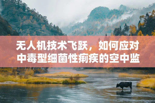 无人机技术飞跃，如何应对中毒型细菌性痢疾的空中监测挑战？