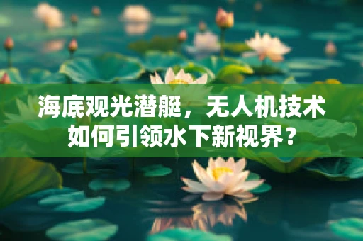 海底观光潜艇，无人机技术如何引领水下新视界？