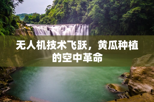 无人机技术飞跃，黄瓜种植的空中革命