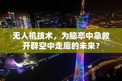 无人机技术，为脑卒中急救开辟空中走廊的未来？