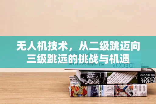 无人机技术，从二级跳迈向三级跳远的挑战与机遇