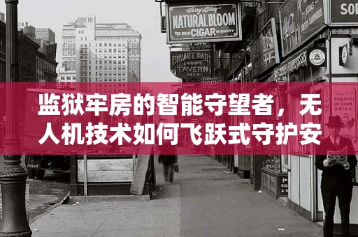 监狱牢房的智能守望者，无人机技术如何飞跃式守护安全？