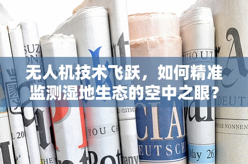 无人机技术飞跃，如何精准监测湿地生态的空中之眼？