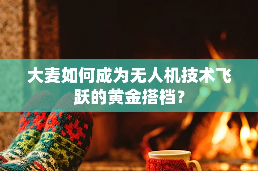 大麦如何成为无人机技术飞跃的黄金搭档？