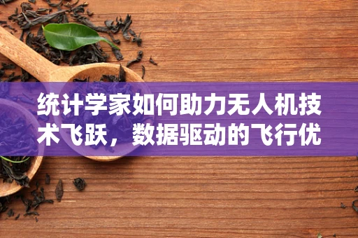统计学家如何助力无人机技术飞跃，数据驱动的飞行优化？