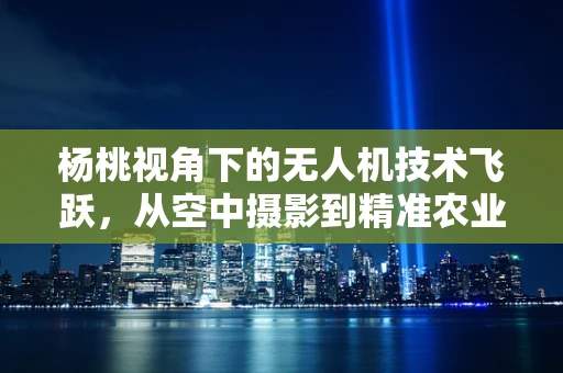 杨桃视角下的无人机技术飞跃，从空中摄影到精准农业的跨越