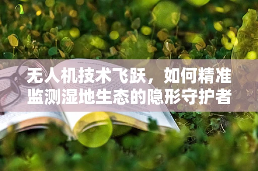 无人机技术飞跃，如何精准监测湿地生态的隐形守护者？