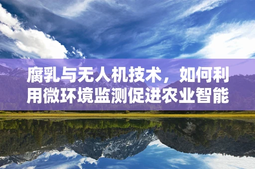 腐乳与无人机技术，如何利用微环境监测促进农业智能管理？