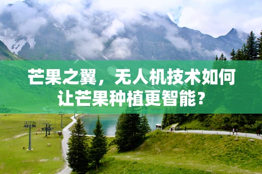 芒果之翼，无人机技术如何让芒果种植更智能？