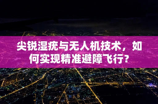 尖锐湿疣与无人机技术，如何实现精准避障飞行？