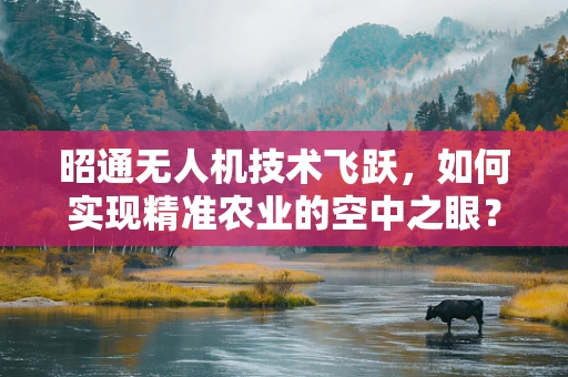 昭通无人机技术飞跃，如何实现精准农业的空中之眼？
