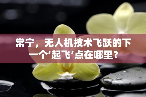 常宁，无人机技术飞跃的下一个‘起飞’点在哪里？