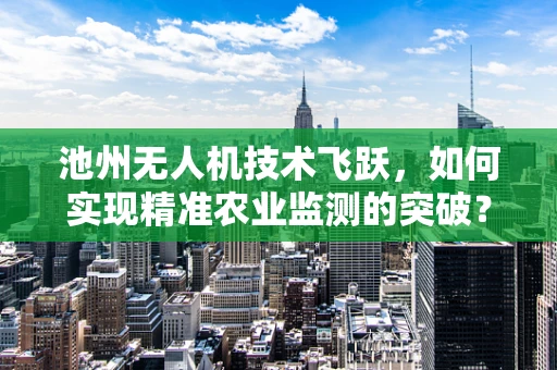 池州无人机技术飞跃，如何实现精准农业监测的突破？