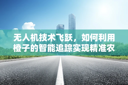 无人机技术飞跃，如何利用橙子的智能追踪实现精准农业新突破？