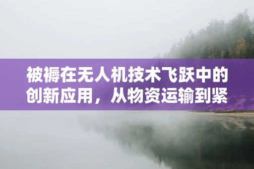 被褥在无人机技术飞跃中的创新应用，从物资运输到紧急救援的革新之路