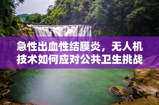 急性出血性结膜炎，无人机技术如何应对公共卫生挑战？