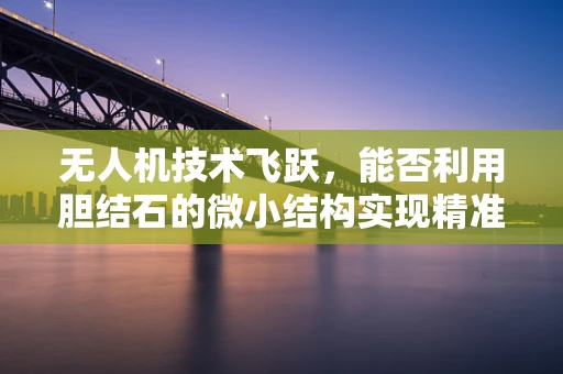无人机技术飞跃，能否利用胆结石的微小结构实现精准导航？