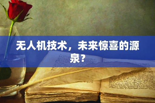 无人机技术，未来惊喜的源泉？