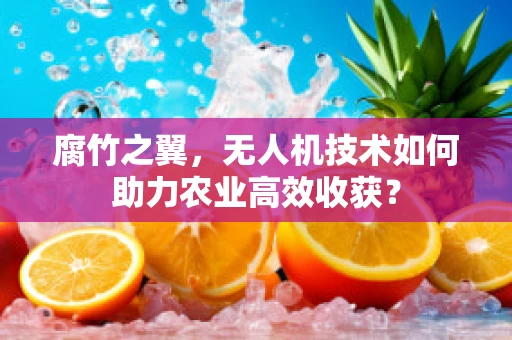 腐竹之翼，无人机技术如何助力农业高效收获？
