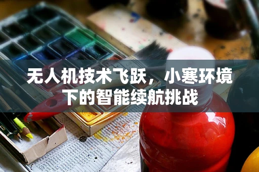 无人机技术飞跃，小寒环境下的智能续航挑战