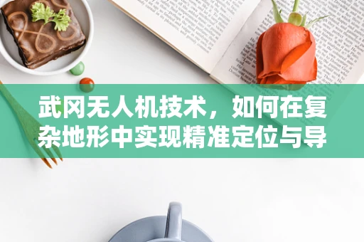 武冈无人机技术，如何在复杂地形中实现精准定位与导航？
