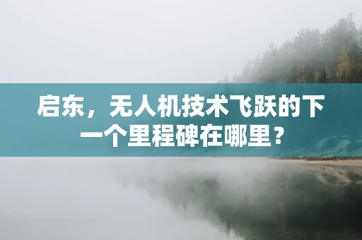 启东，无人机技术飞跃的下一个里程碑在哪里？