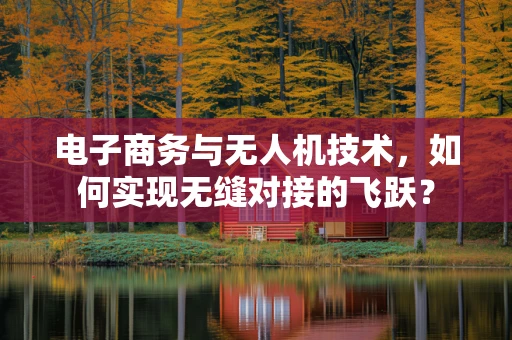 电子商务与无人机技术，如何实现无缝对接的飞跃？