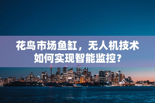 花鸟市场鱼缸，无人机技术如何实现智能监控？