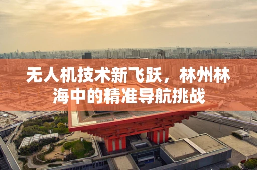 无人机技术新飞跃，林州林海中的精准导航挑战