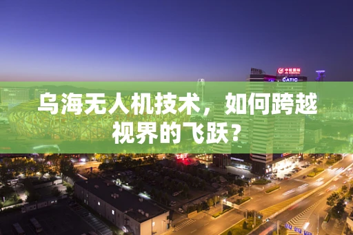 乌海无人机技术，如何跨越视界的飞跃？