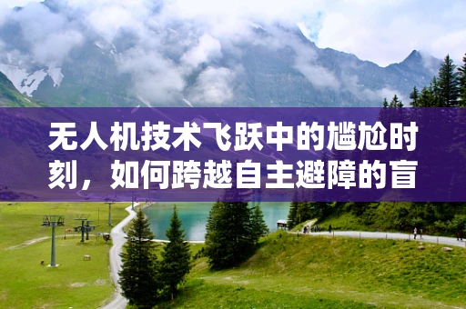 无人机技术飞跃中的尴尬时刻，如何跨越自主避障的盲区？