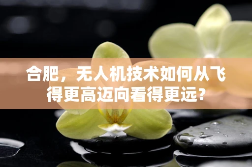 合肥，无人机技术如何从飞得更高迈向看得更远？