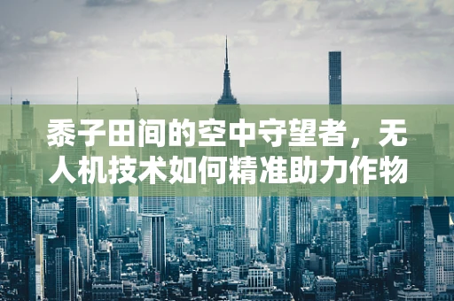 黍子田间的空中守望者，无人机技术如何精准助力作物监测？