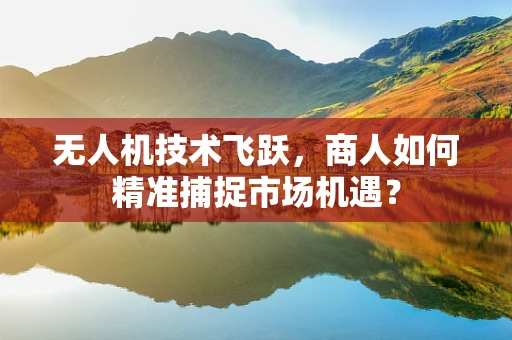 无人机技术飞跃，商人如何精准捕捉市场机遇？