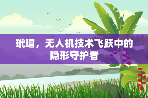 玳瑁，无人机技术飞跃中的隐形守护者