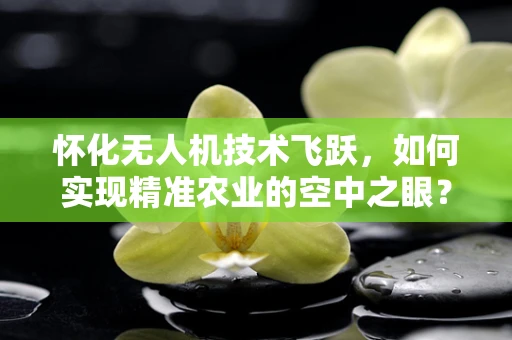 怀化无人机技术飞跃，如何实现精准农业的空中之眼？