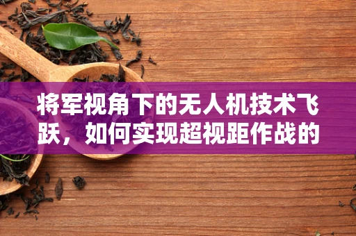将军视角下的无人机技术飞跃，如何实现超视距作战的智能决策？