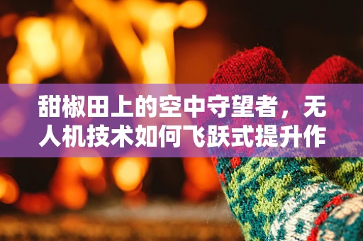 甜椒田上的空中守望者，无人机技术如何飞跃式提升作物监测？