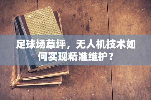 足球场草坪，无人机技术如何实现精准维护？