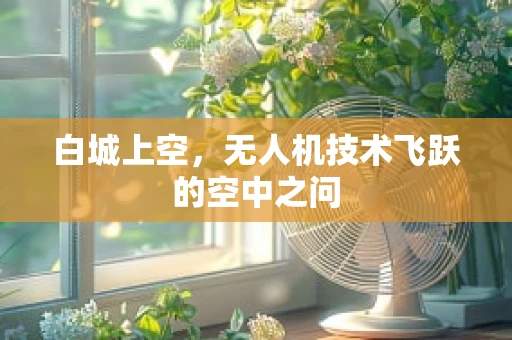 白城上空，无人机技术飞跃的空中之问