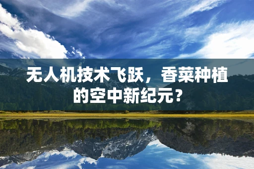 无人机技术飞跃，香菜种植的空中新纪元？