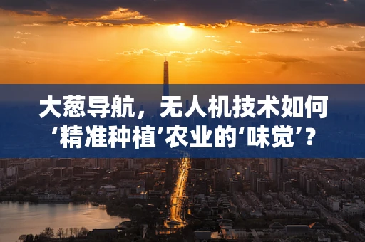 大葱导航，无人机技术如何‘精准种植’农业的‘味觉’？