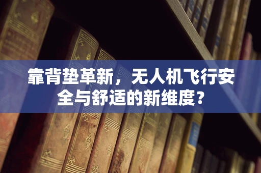 靠背垫革新，无人机飞行安全与舒适的新维度？