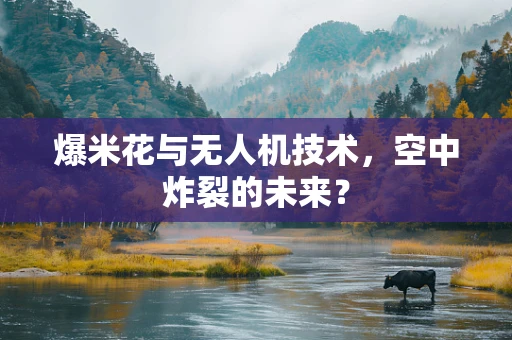 爆米花与无人机技术，空中炸裂的未来？