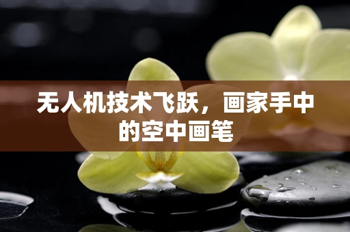 无人机技术飞跃，画家手中的空中画笔