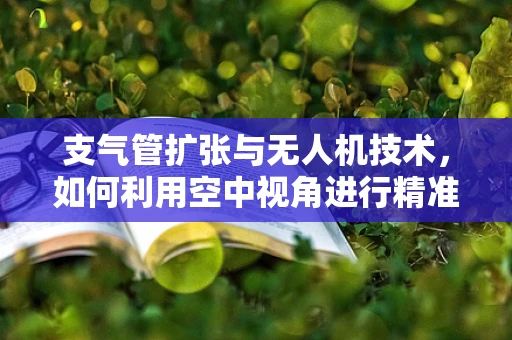 支气管扩张与无人机技术，如何利用空中视角进行精准医疗监测？
