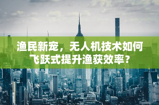 渔民新宠，无人机技术如何飞跃式提升渔获效率？