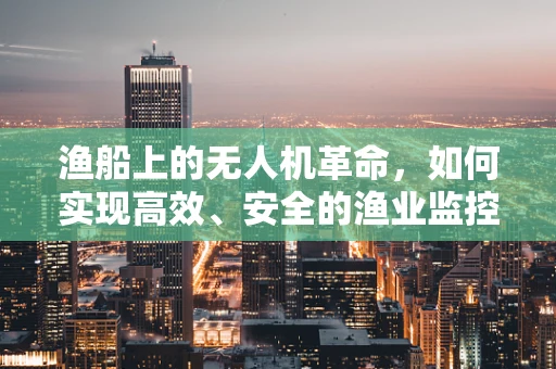 渔船上的无人机革命，如何实现高效、安全的渔业监控？