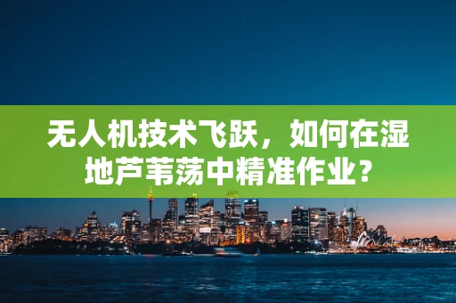 无人机技术飞跃，如何在湿地芦苇荡中精准作业？