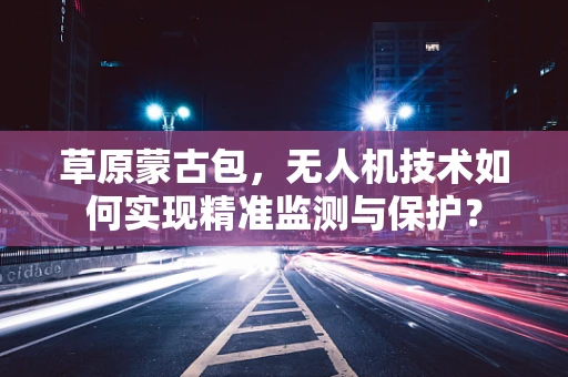 草原蒙古包，无人机技术如何实现精准监测与保护？